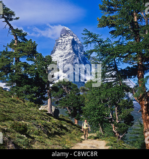 Randonneur sur sentier avec Arolla Zermatt Matterhorn et pins Valais Suisse Banque D'Images