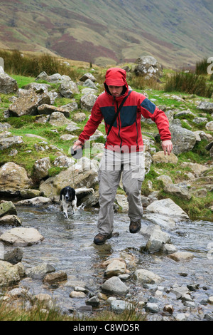 Homme millénaire en veste imperméable traversant un ruisseau sur des pierres de marche marchant un chien en laisse sous la pluie. Lake District Cumbria Angleterre Royaume-Uni Grande-Bretagne Banque D'Images
