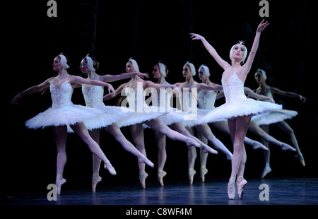 Derek Deane's Swan Lake au London Coliseum. Banque D'Images