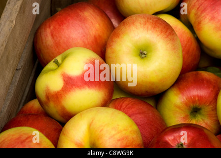 Les pommes dans une caisse à Division Street Farmers Market, Chicago, Illinois, USA. Banque D'Images