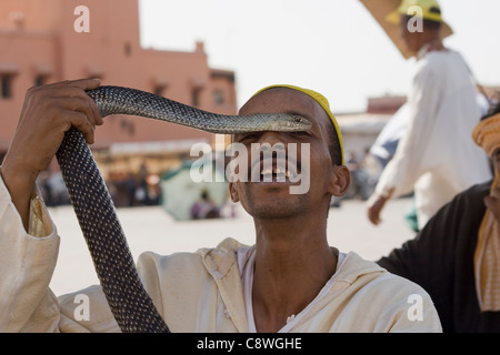 Un Charmeur de serpent dans Marrakech Maroc pour vos réceptions les touristes sur la place principale, la place Jamaâ El Fna. Banque D'Images