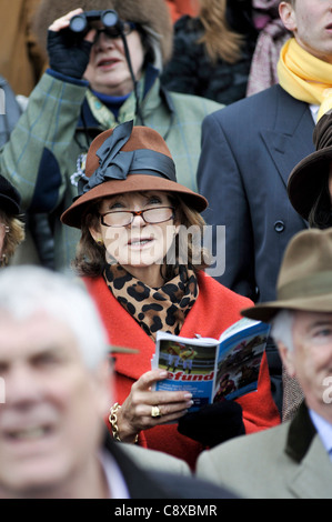 Femme regardant une course de chevaux de courses de Cheltenham Banque D'Images