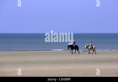 L'équitation sur la plage. Scheveningen, Den Haag, Pays-Bas. Banque D'Images