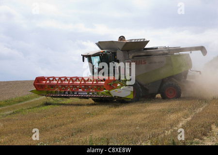 Moissonneuse-batteuse et un tracteur de la récolte de blé de la récolte à la périphérie de la ville de Haverhill East Anglia Suffolk UK Banque D'Images