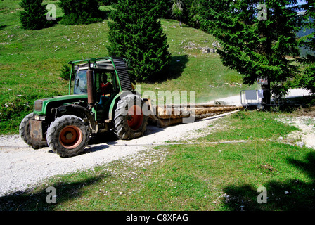 Laden grumes coupées du tracteur sur la route Banque D'Images