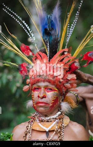 Jiwika danseur tribal ayant sa tête dress préparé Paiya Sing-sing Western Highlands Papouasie Nouvelle Guinée Banque D'Images