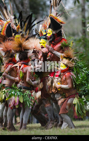 Huli Wigmen de la Tari Valley sur les hautes terres du sud de la Papouasie-Nouvelle-Guinée Banque D'Images