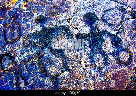 Pétroglyphes à Pu'u Loa, Chaîne de cratères road, Hawaii Volcanoes National Park, Big Island, Hawaii Banque D'Images