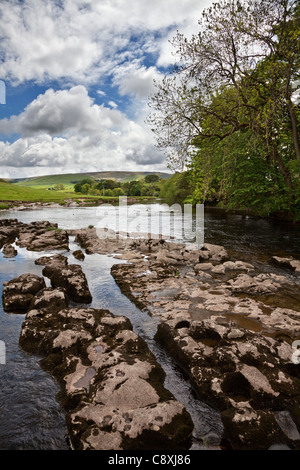 La vue sur la rivière sur la rivière Wharfe à Grassington, North Yorkshire, Angleterre. L'Europe Banque D'Images