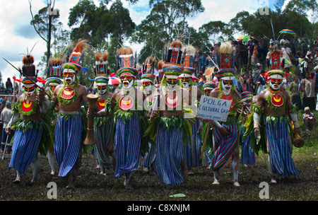 Les artistes interprètes ou exécutants de l'Anglimp Tribal dans District Waghi Western Highlands Province Papouasie-Nouvelle-Guinée l'exécution à un Sing-sing Banque D'Images