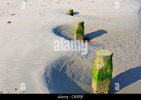 West Wittering Beach mer défense groynes étant menacé par le Forts courants de marée et presque enterrés dans les sables mouvants,West Sussex, Angleterre, Royaume-Uni Banque D'Images