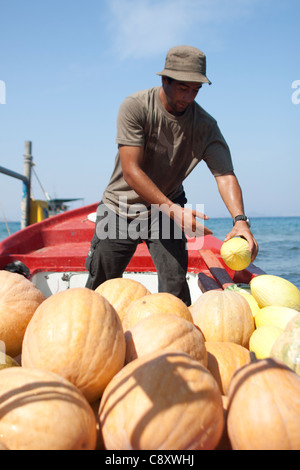 Livraison de plage, Kos, Grèce Banque D'Images