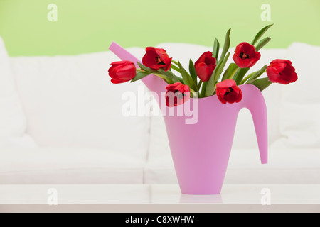 Bouquet de tulipes rouges en pot d'arrosage en plastique, studio shot Banque D'Images