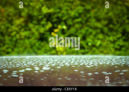 Bulles vert résumé arrière-plan flou. Banque D'Images