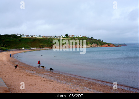 Les chiens à marcher le long de la plage à Broadsands près de Paignton, Devon, Angleterre. Banque D'Images