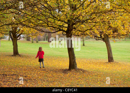 Jeu de fille après l'école à Primrose Hill entre les arbres avec de belles couleurs d'automne le vendredi 4 novembre. Banque D'Images
