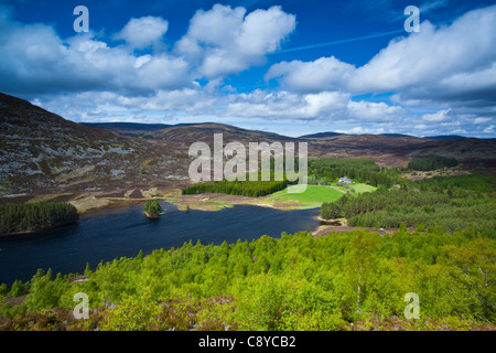 L'Écosse, les Highlands écossais, le Parc National de Cairngorms. Vue de près Kingussie à sur le Loch Gynack Banque D'Images