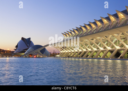 Musée des sciences Príncipe Felipe, le Palau de les Arts Reina Sofia, Valencia, Espagne Banque D'Images