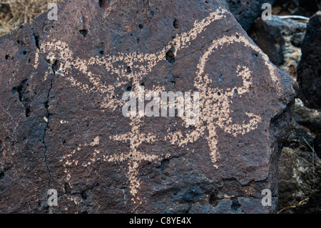 Pétroglyphes à Rinconada Canyon, Monument national Petroglyph, Albuquerque, New Mexico, USA Banque D'Images