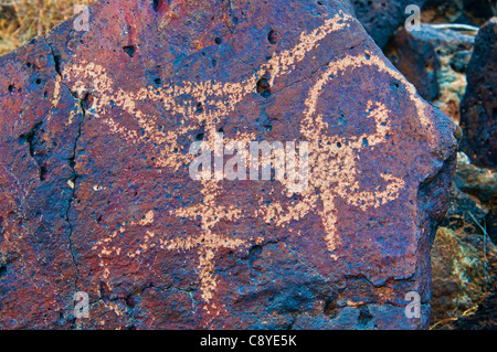 Pétroglyphes à Rinconada Canyon, Monument national Petroglyph, Albuquerque, New Mexico, USA Banque D'Images