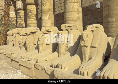 Avenue de Sphinx Egypte Karnak Banque D'Images