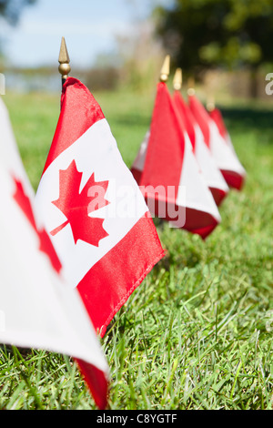 États-unis, Illinois, Metamora, rangée de drapeaux canadiens sur cemetery Banque D'Images