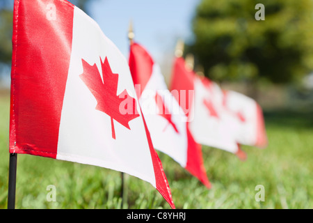 États-unis, Illinois, Metamora, rangée de drapeaux canadiens sur cemetery Banque D'Images