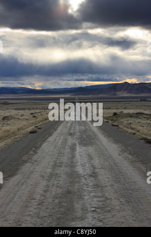 Vue Sud Ouest dans le coucher de soleil le long de Seven Mile Road sur la plaine de Carrizo en Californie du Sud. Banque D'Images