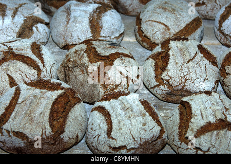 Des petits pains de seigle, Valaisian Erschmatt, Valais, Suisse Banque D'Images