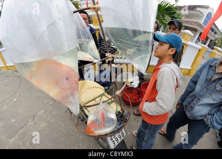 L'Asie, Vietnam, Hoi An. Hoi An nr. vieux quartier. Vendeur de rue, la vente de poissons de jouet de l'arrière de sa moto. Le quartier historique de b... Banque D'Images