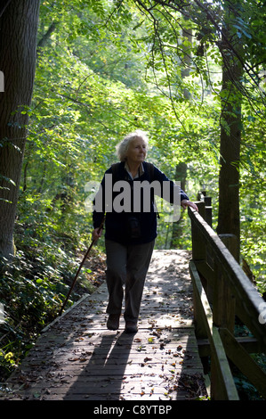 Dame de 75 ans de marcher seul dans les bois à Roseberry topping, North Yorkshire Banque D'Images