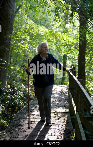 Dame de 75 ans de marcher seul dans les bois à Roseberry topping, North Yorkshire Banque D'Images