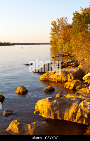 Rivage à boutons poole recreation area Banque D'Images