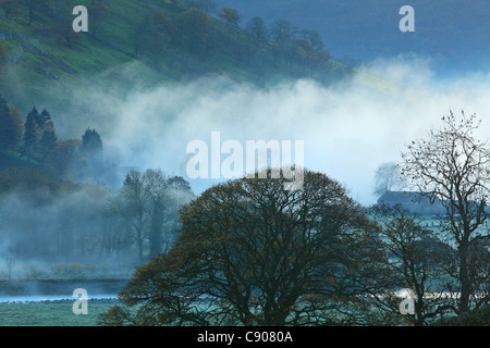 Matin d'automne brumeux sur la rivière Wharfe comme vu près de Appletreewick Wharfedale dans le Yorkshire Banque D'Images