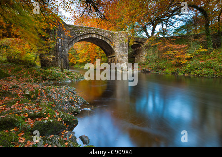 Holne Pont sur la rivière Dart, Dartmoor National Park, Devon, Angleterre du Sud-Ouest, Europe Banque D'Images