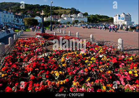 La station balnéaire de Llandudno, Conwy, Pays de Galles, Royaume-Uni Banque D'Images