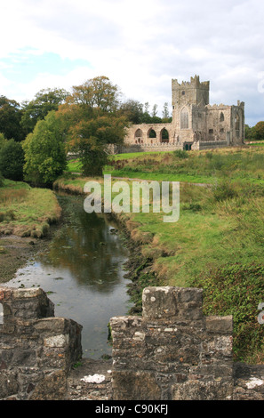 Abbaye de Tintern, comté de Wexford, Irlande. Banque D'Images