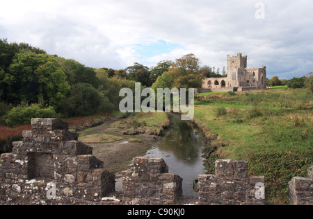 Abbaye de Tintern, comté de Wexford, Irlande. Banque D'Images