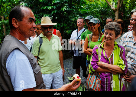 Visite guidée dans le jardin d'épices et parfum de Saint Philippe, La Réunion, océan Indien Banque D'Images