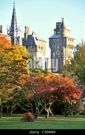 Bute Park avec en arrière-plan le château de Cardiff, Cardiff, Pays de Galles du sud-, Pays de Galles, Grande-Bretagne Banque D'Images