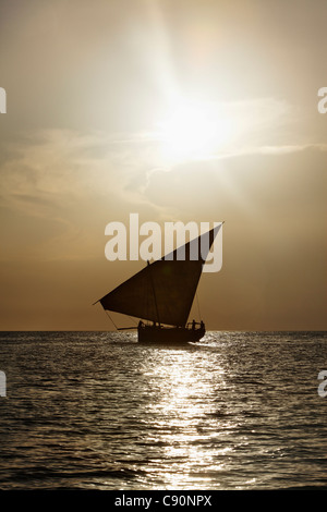 Navigation le long Stonetowns ville Dhow beach, Ville de Zanzibar, Zanzibar, Tanzania, Africa Banque D'Images