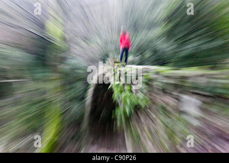 Jeune femme marchant sur le pont génois dans le canyon des gorges de Spelunca, près de Porto et Ota, Corse, France Banque D'Images