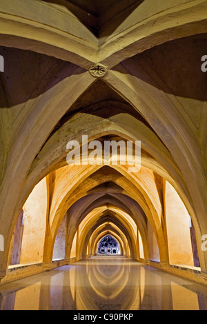 Los Banos de Dona Maria de Padilla, Alcazar de Séville, le palais royal à l'origine un fort mauresque, Séville, Espagne Banque D'Images