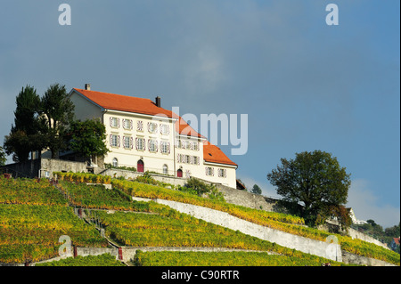 Maison de ferme en vignoble, le lac Léman, terrasses de Lavaux, Patrimoine Mondial de l'Terrasses Lavaux, Vaud, Switze Banque D'Images