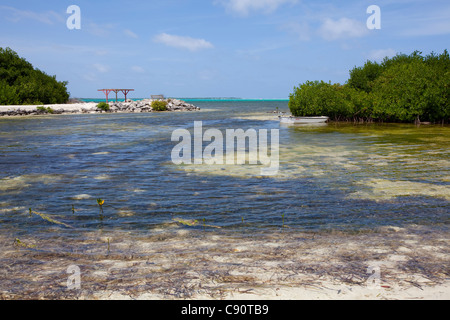 Vue sur Lac Bay, Bonaire, Antilles néerlandaises. Photo D.V. Banque D'Images