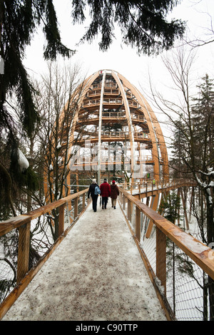 Les gens de Tree Top walk en Parc National de la Forêt bavaroise en hiver, Neuschoenau, Bavaria, Germany, Europe Banque D'Images