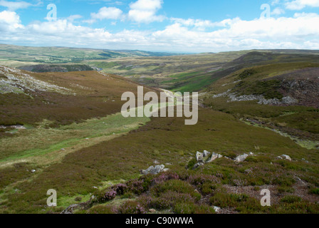 La partie supérieure du paysage Teesdale est protégé comme un habitat unique pour la flore en particulier et a des sous espèces arctiques et alpines Banque D'Images