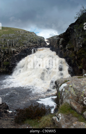 Museau chaudron cascade est dans la réserve naturelle nationale de la région de Teesdale une zone unique de la flore et de la faune et des aires protégées Banque D'Images