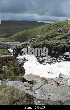 Museau chaudron cascade est dans la réserve naturelle nationale de la région de Teesdale une zone unique de la flore et de la faune et des aires protégées Banque D'Images