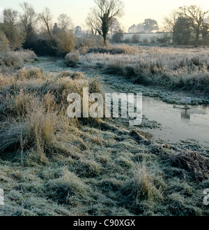 Cours d'eau à travers champs couverts de givre au lever du soleil, Hampshire Banque D'Images